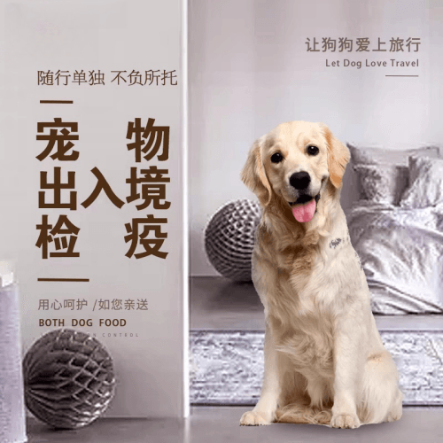 花莲县宠物托运到哥伦比亚猫狗宠物入境规定和