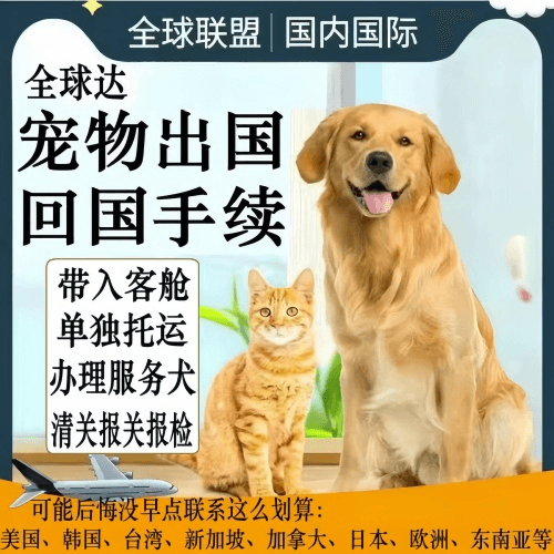 花莲县宠物托运到柬埔寨宠物入境规定和要求